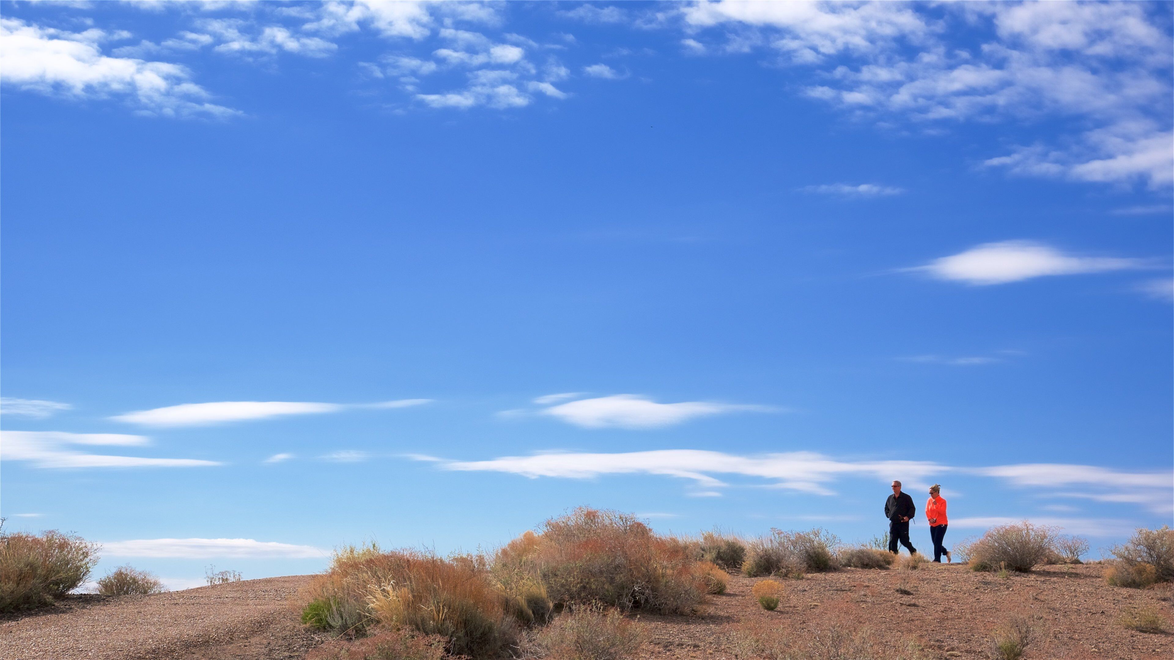 Nordlige Arizona som viser ørkenutsikt og rolig landskap i tillegg til en liten gruppe med mennesker
