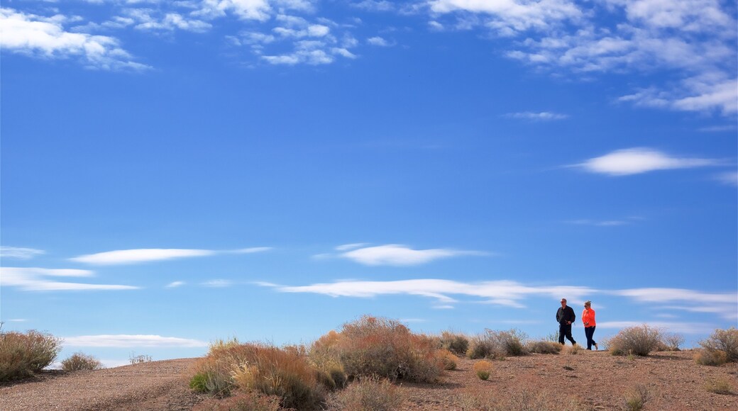 Nordlige Arizona som viser ørkenutsikt og rolig landskap i tillegg til en liten gruppe med mennesker