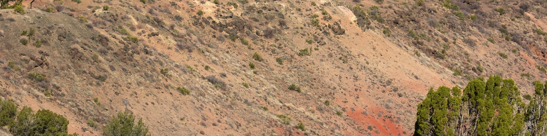 Tawa Point showing an administrative buidling, desert views and tranquil scenes