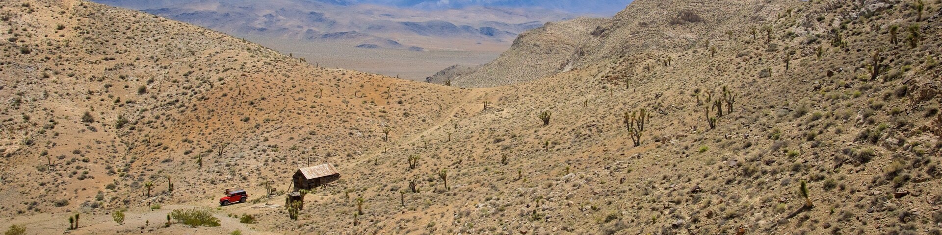 Lost Burro Mine featuring landscape views and desert views