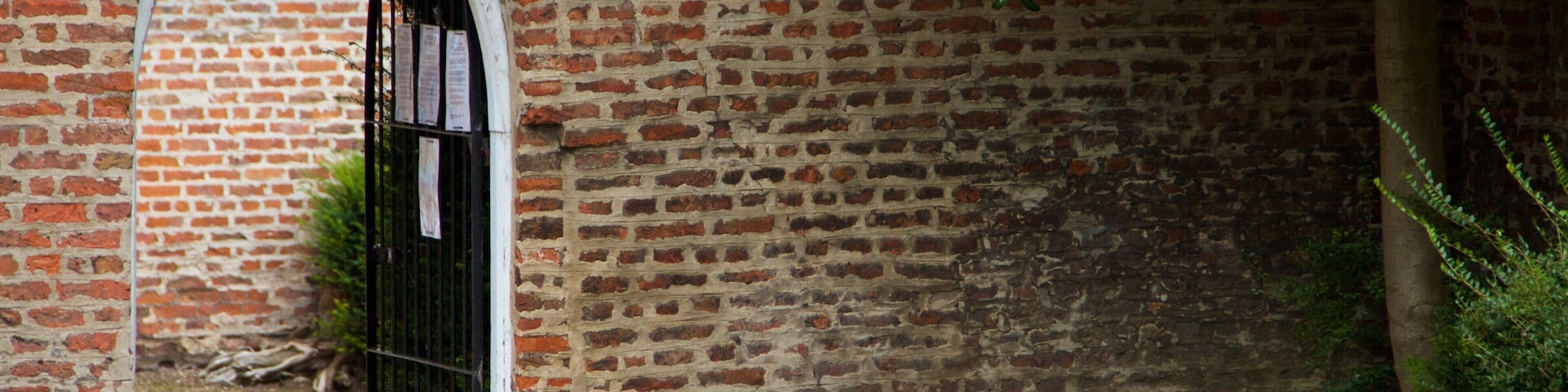 Lincolnshire que incluye flores y elementos patrimoniales