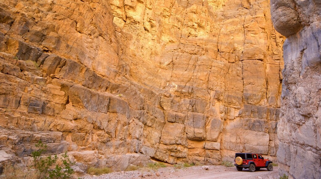 Titus Canyon showing a gorge or canyon and 4 wheel driving