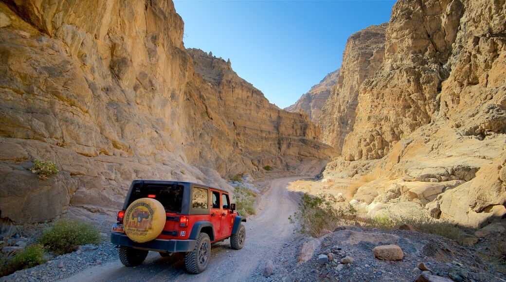 Vale da Morte que inclui um desfiladeiro ou canyon, paisagens do deserto e 4x4