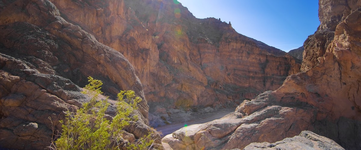 Valle de la Muerte que incluye un cañón o garganta