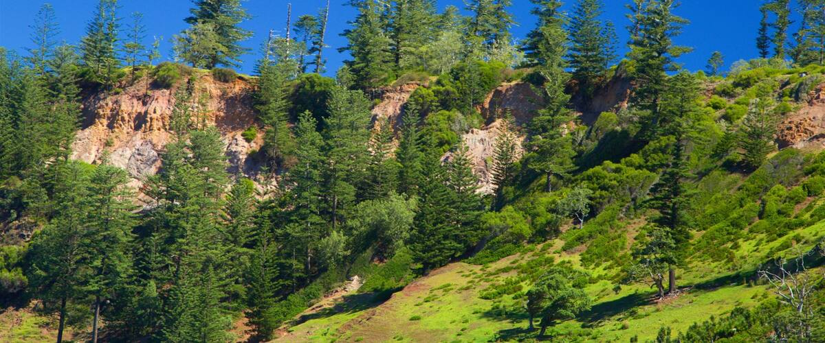 Norfolk Island og byder på fredfyldte omgivelser
