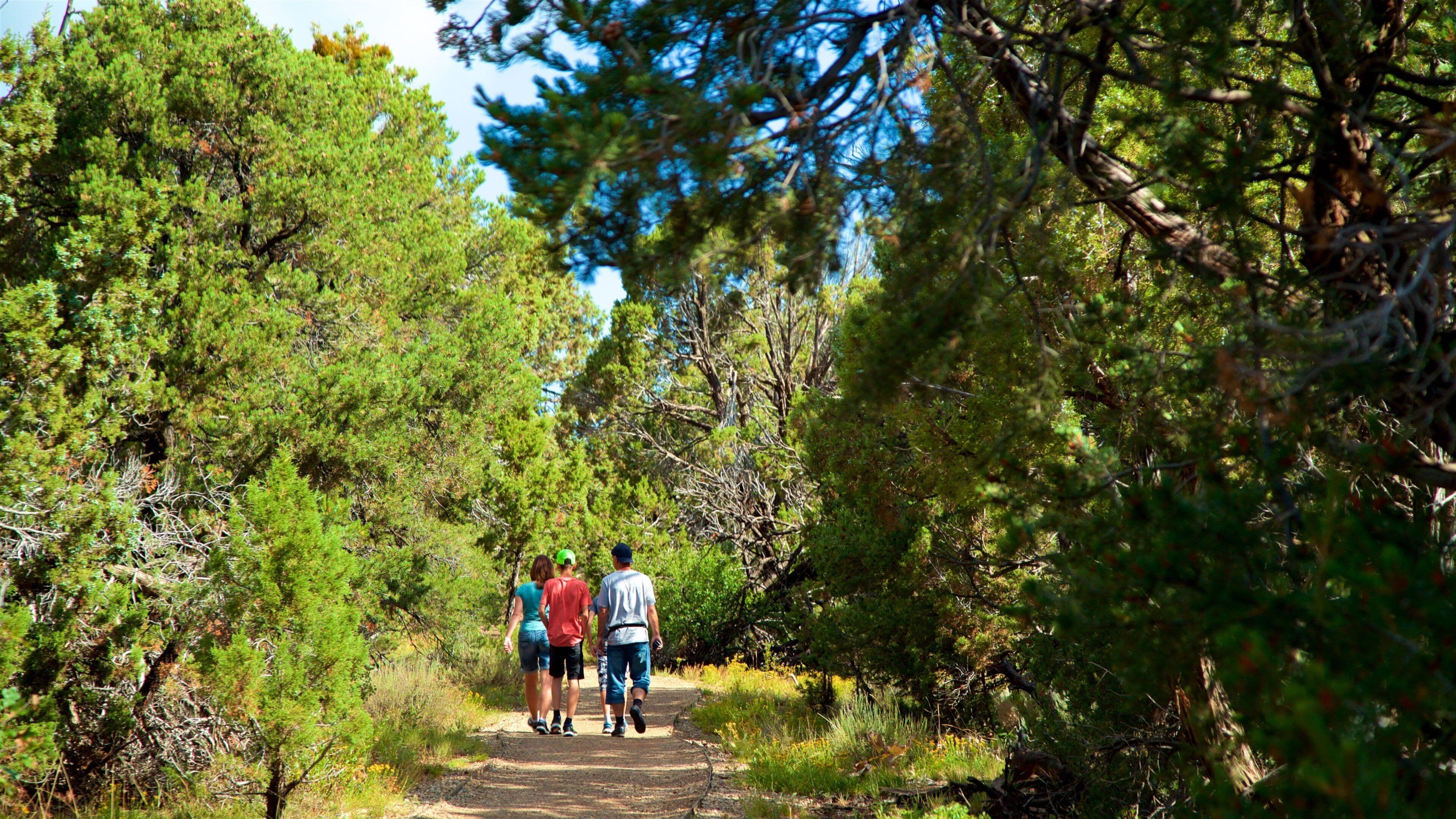 Far View Sites showing a park as well as a small group of people