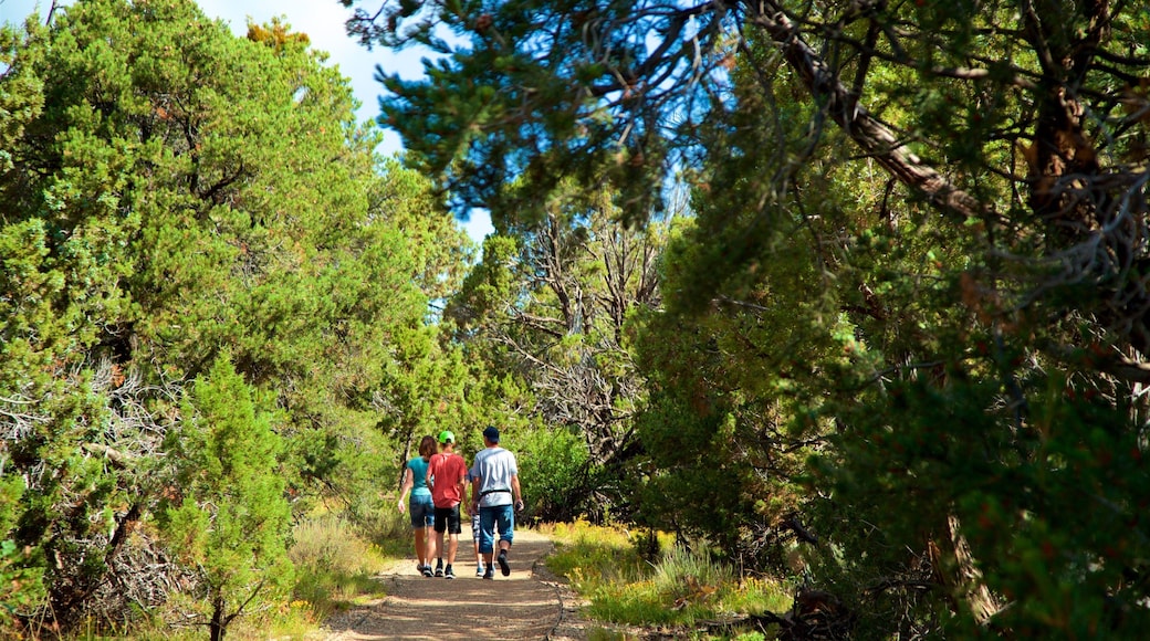 Far View Sites showing a park as well as a small group of people