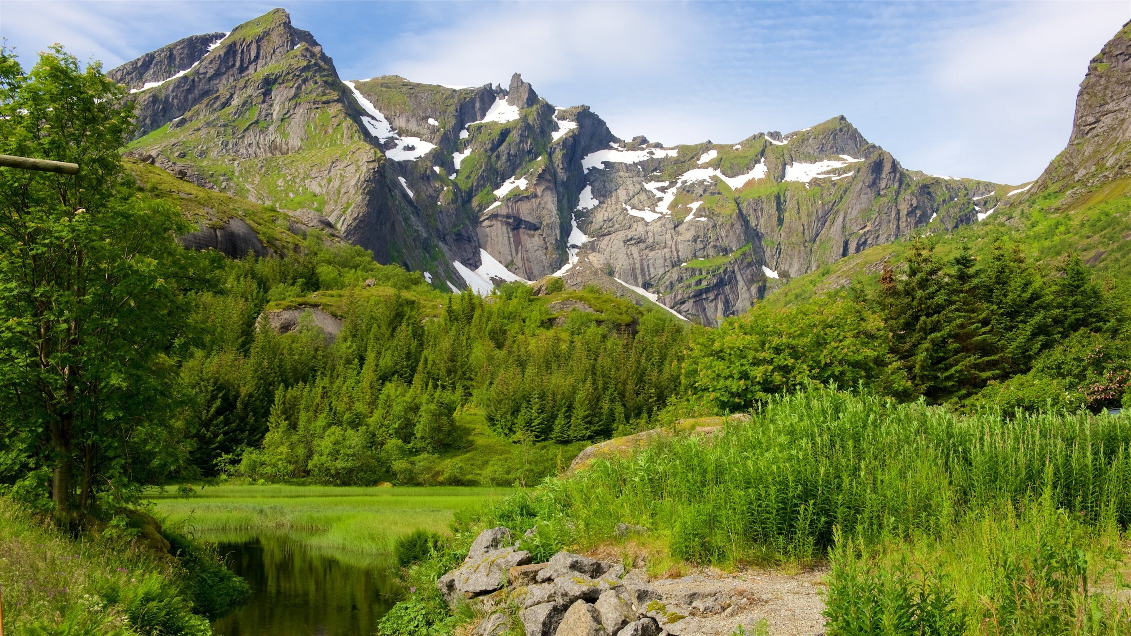 Leknes montrant montagnes et forêts
