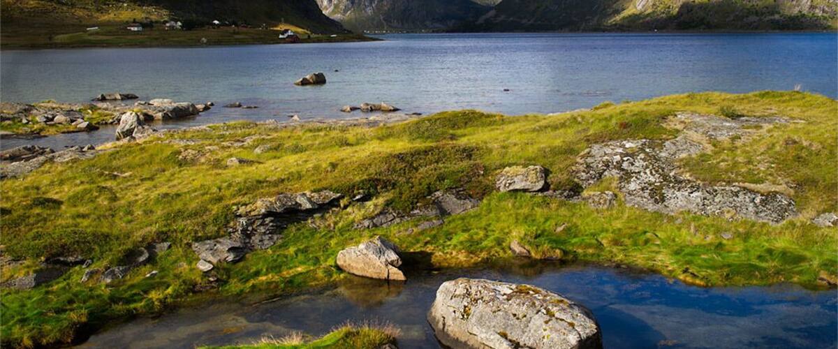 This is near the Fishing Village of Nusfjord. An inlet of the Fjord near a motorway.