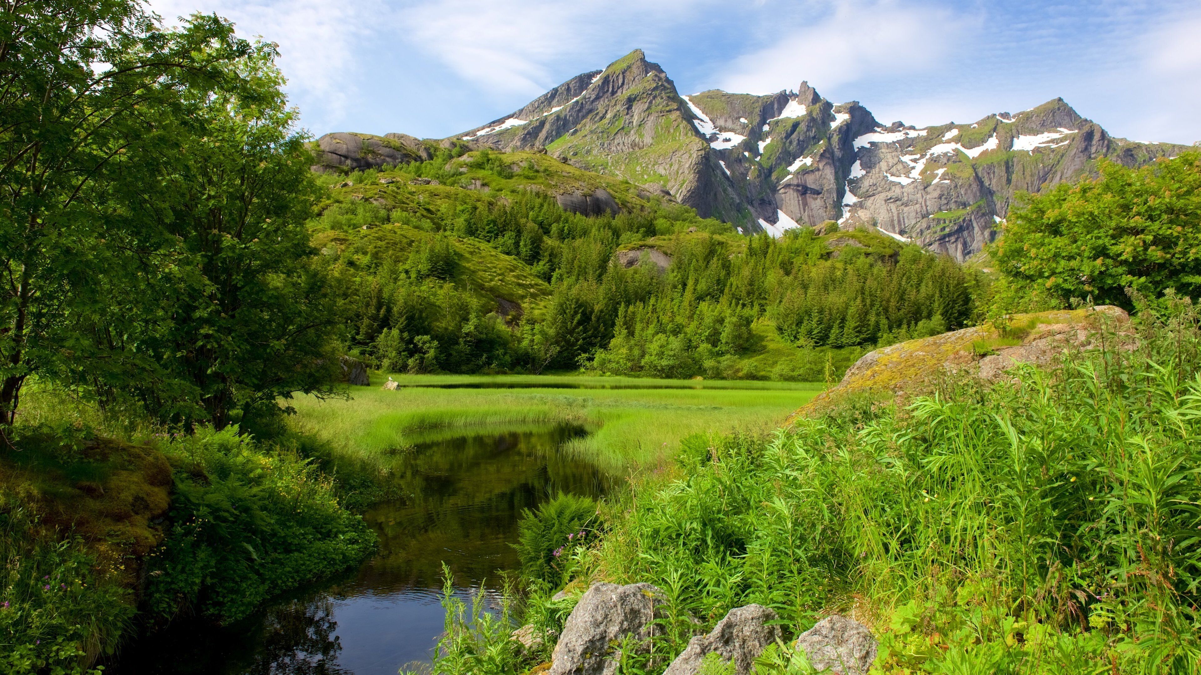 A mountain landscape with a lake surrounded by lush greenery and rocky peaks.