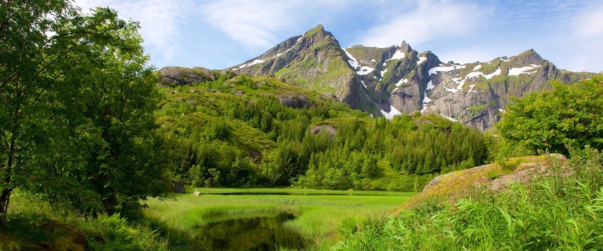 A mountain landscape with a lake surrounded by lush greenery and rocky peaks.