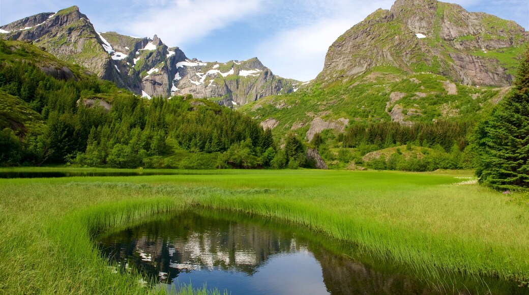 Leknes montrant panoramas, montagnes et mare