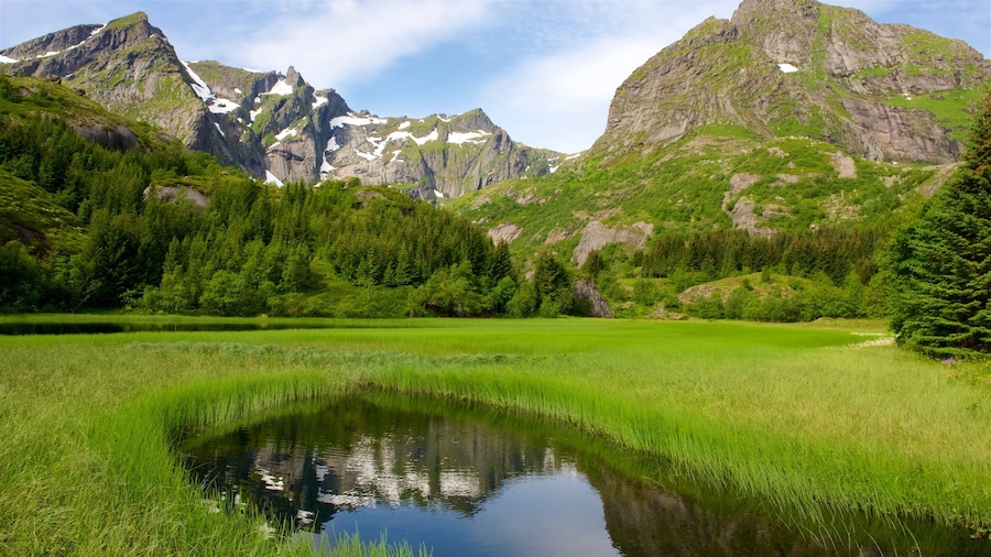 Leknes mostrando montanhas, um lago e paisagem
