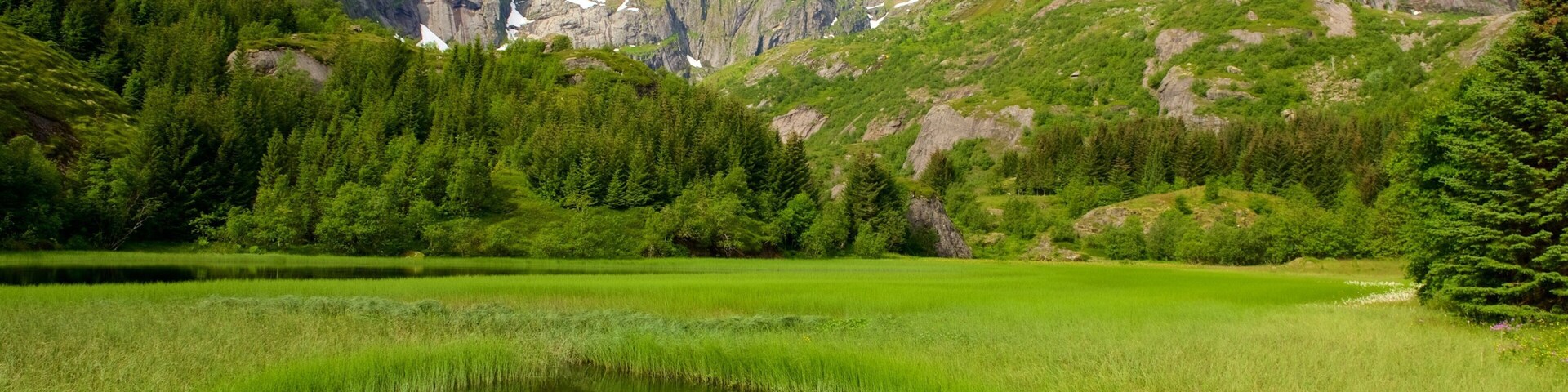 Leknes showing a pond, landscape views and mountains