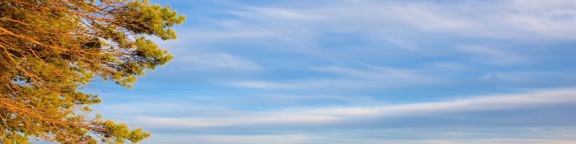 Inari featuring landscape views and a lake or waterhole