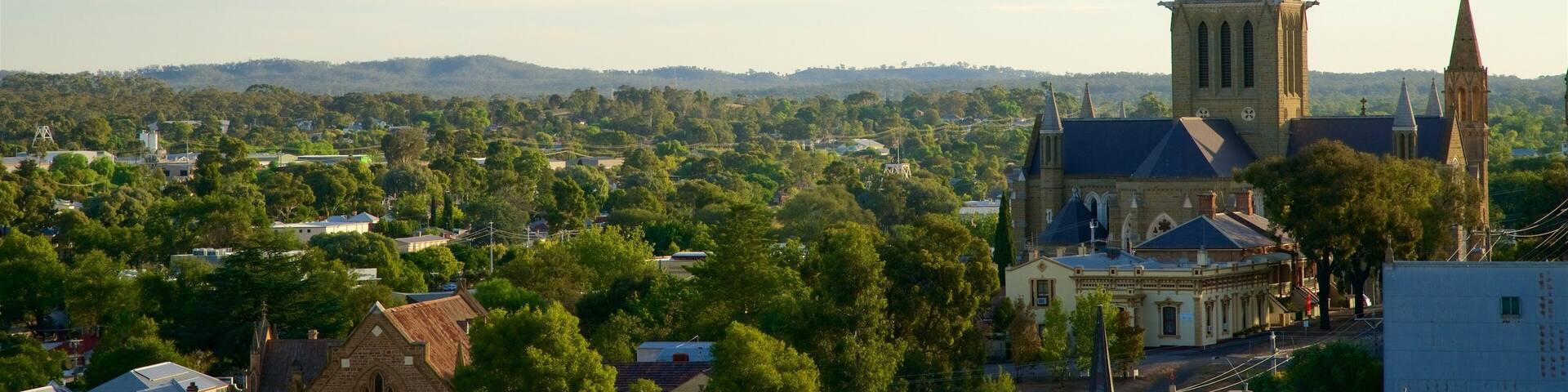 Bendigo showing heritage elements and landscape views