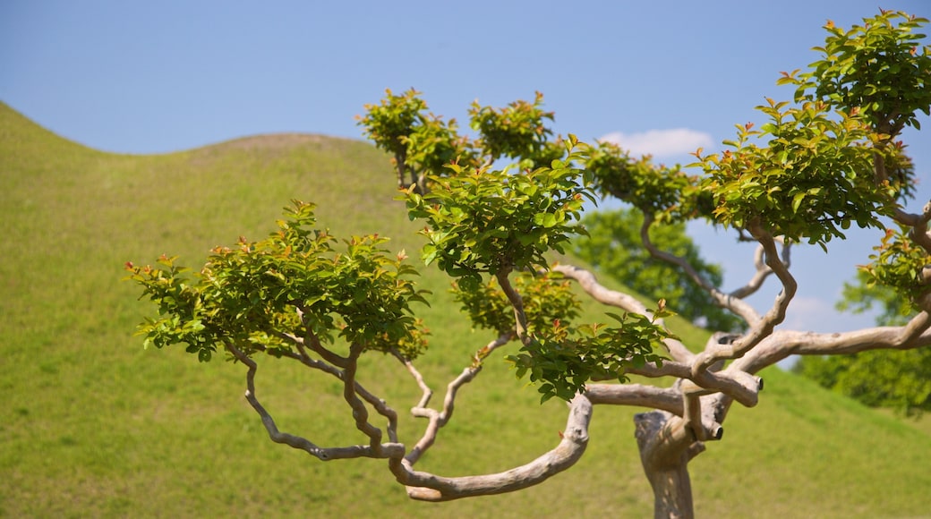 St Maarten and St Martin which includes a park