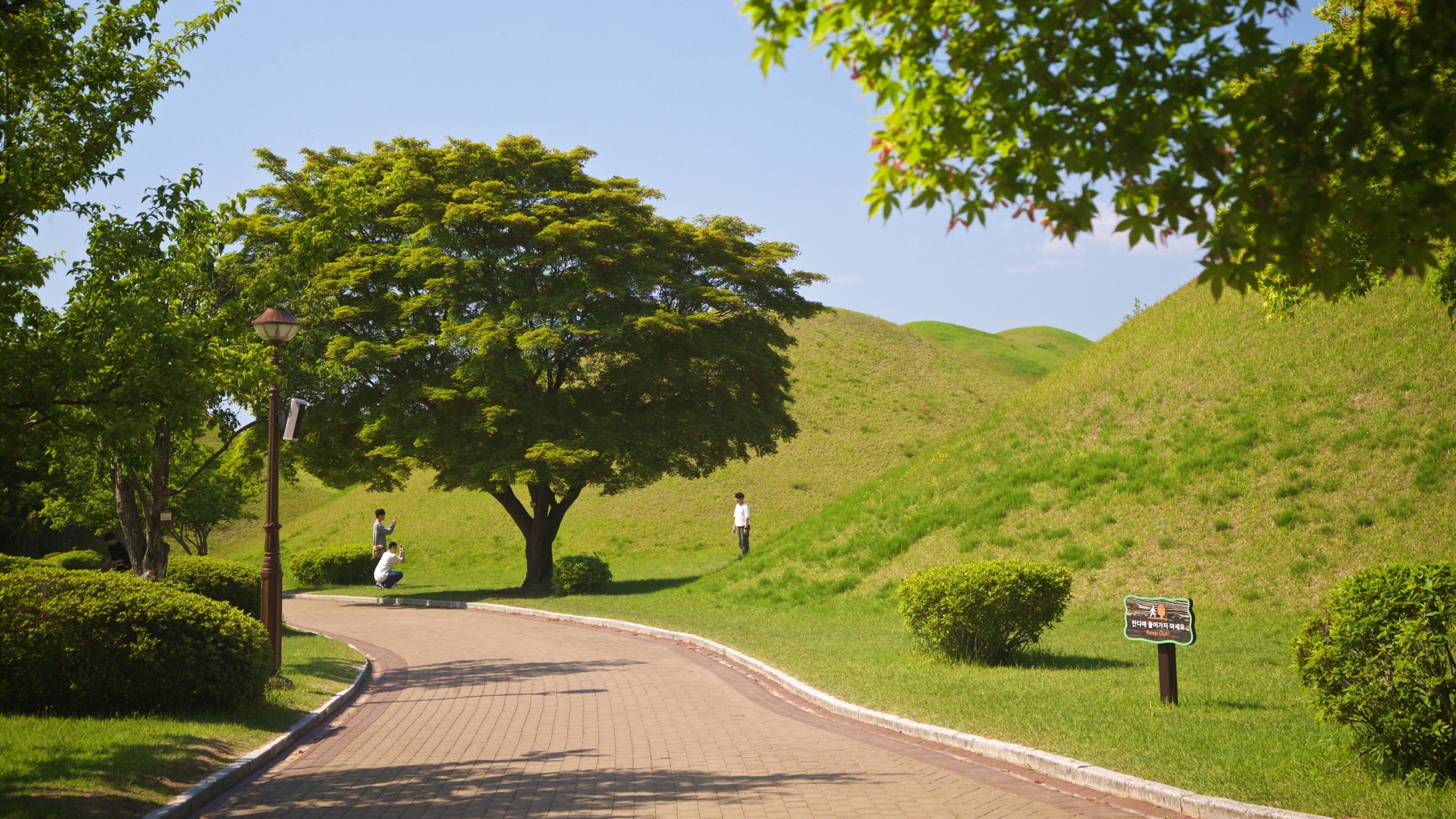 St Maarten and St Martin showing a park