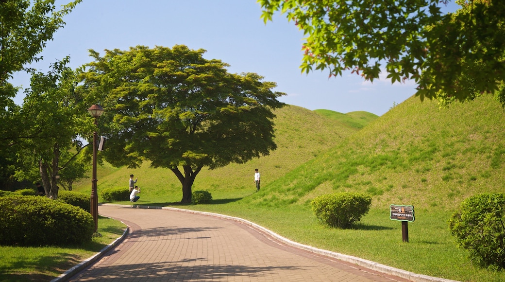 St Maarten and St Martin showing a park