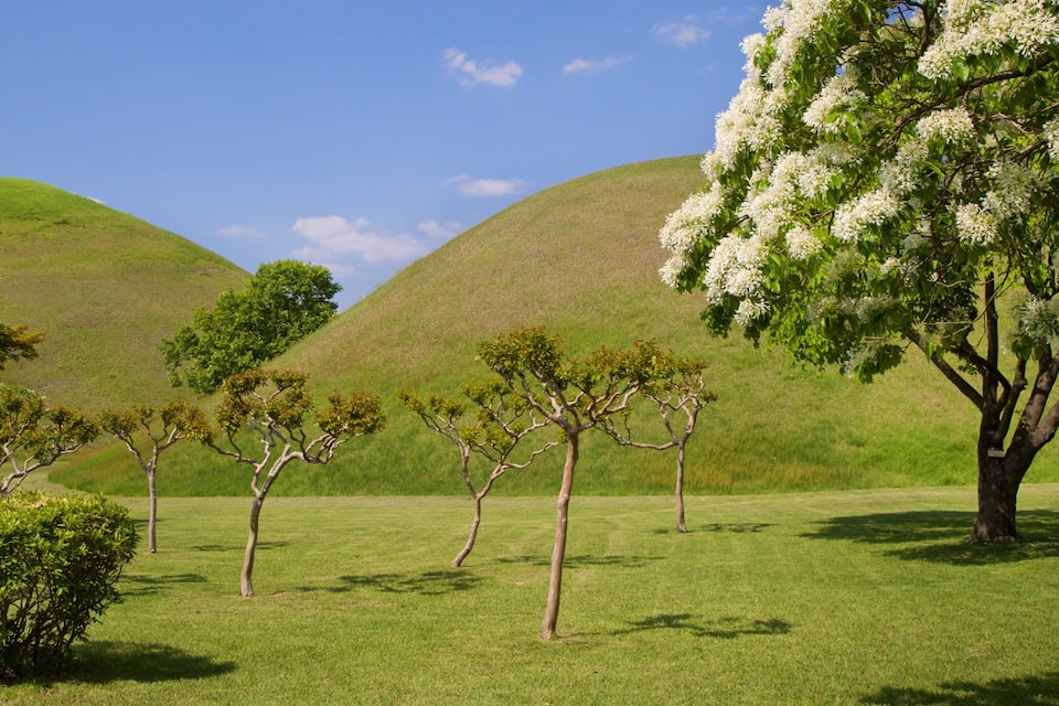 A grassy landscape with several trees and hills.