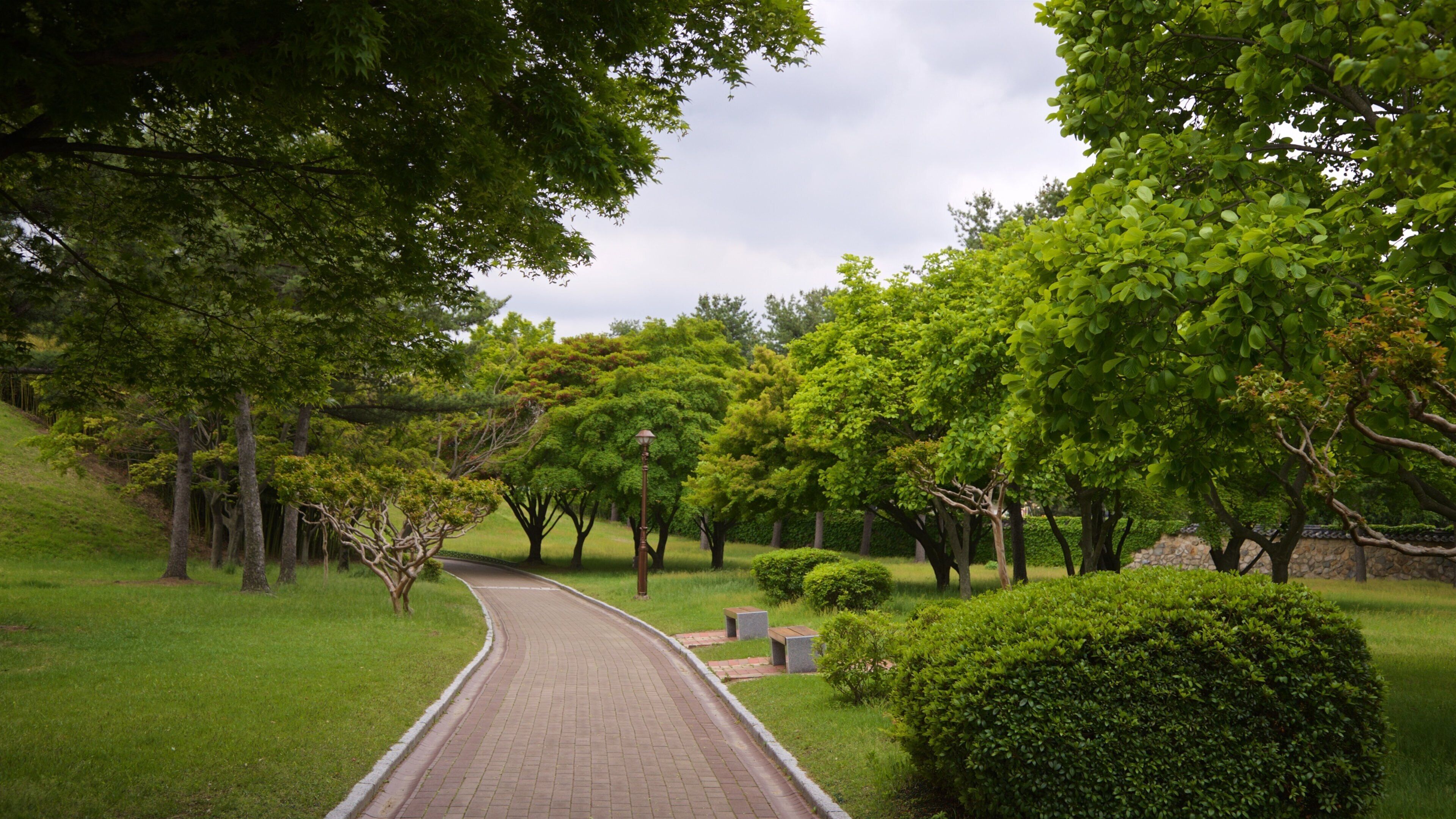 St Maarten and St Martin which includes a garden