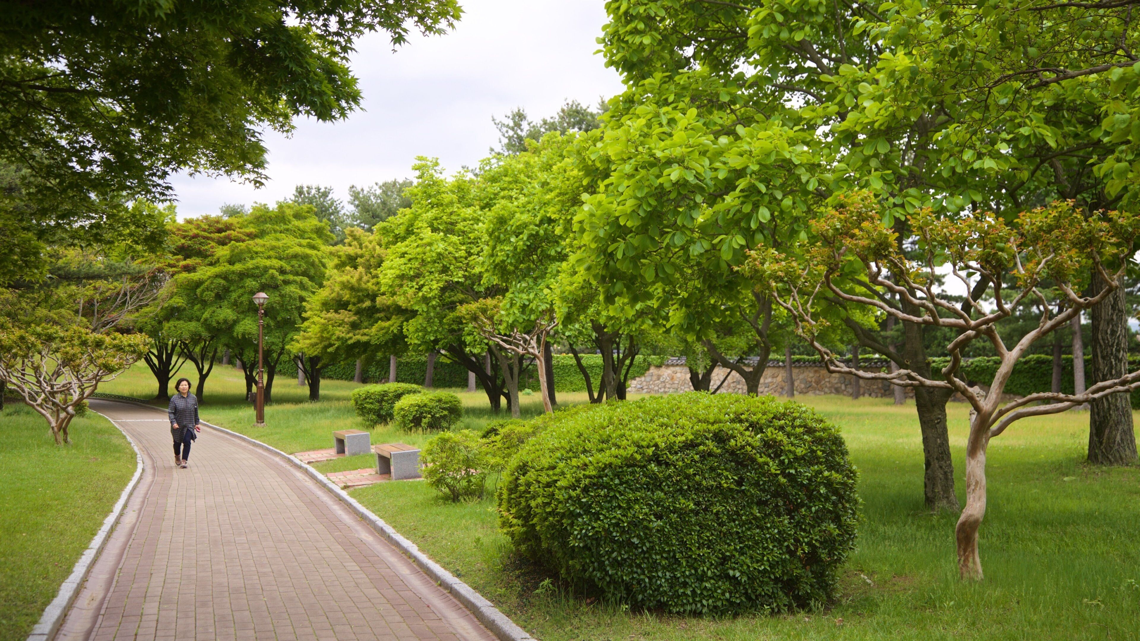 St Maarten and St Martin which includes a garden
