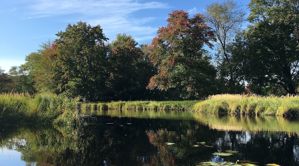 Kayak at your own pace along the river or out on the lake. Painted turtles sun themselves on rocks and the only sounds are gentle waves against the shoreline, wind in the trees and your paddles in the water. Single, double kayaks and canoes, suitable for families and equipped with a map of the waterways.
Well worth it.