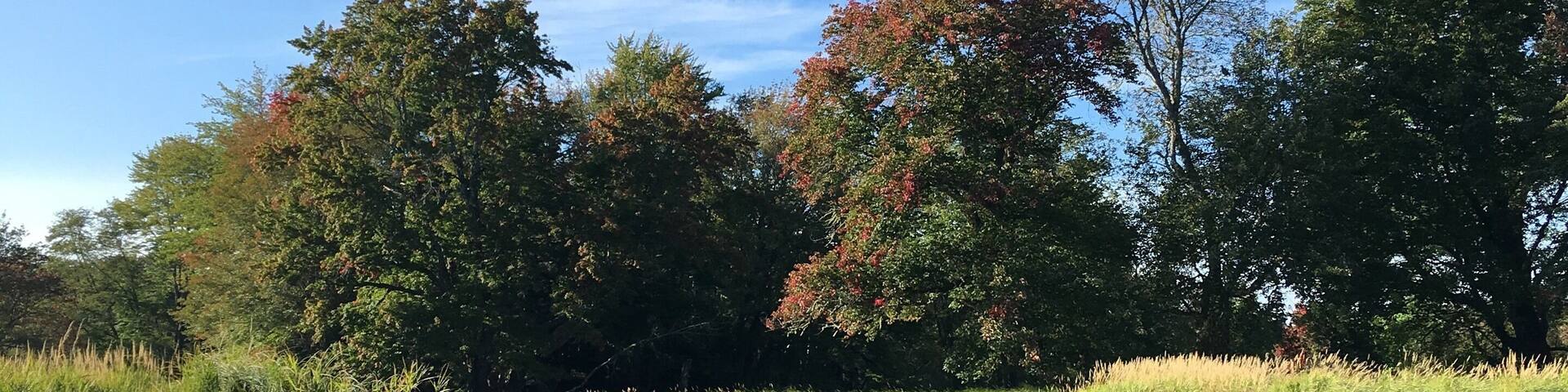 Kayak at your own pace along the river or out on the lake. Painted turtles sun themselves on rocks and the only sounds are gentle waves against the shoreline, wind in the trees and your paddles in the water. Single, double kayaks and canoes, suitable for families and equipped with a map of the waterways.
Well worth it.