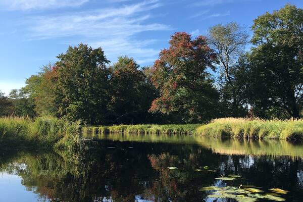 A calm lake with reflections of trees and sky.