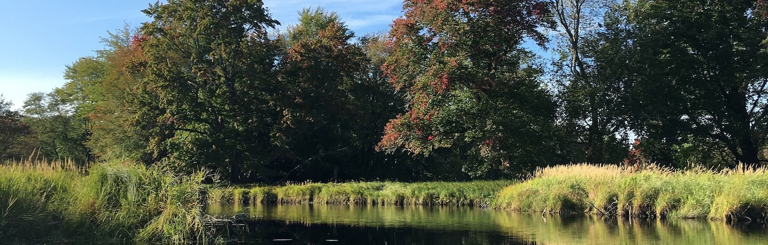 Kayak at your own pace along the river or out on the lake. Painted turtles sun themselves on rocks and the only sounds are gentle waves against the shoreline, wind in the trees and your paddles in the water. Single, double kayaks and canoes, suitable for families and equipped with a map of the waterways.
Well worth it.