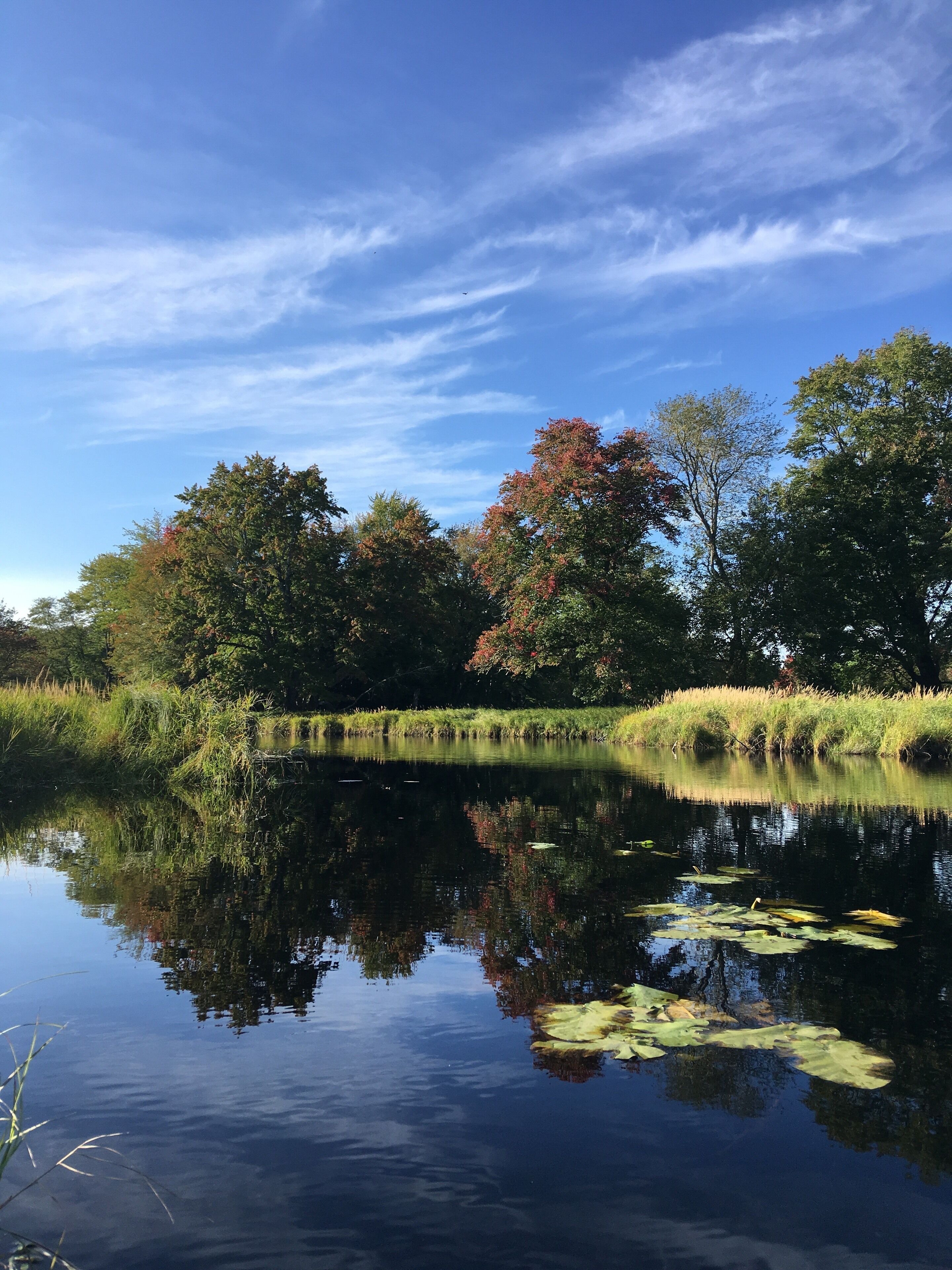 A calm lake with reflections of trees and sky.