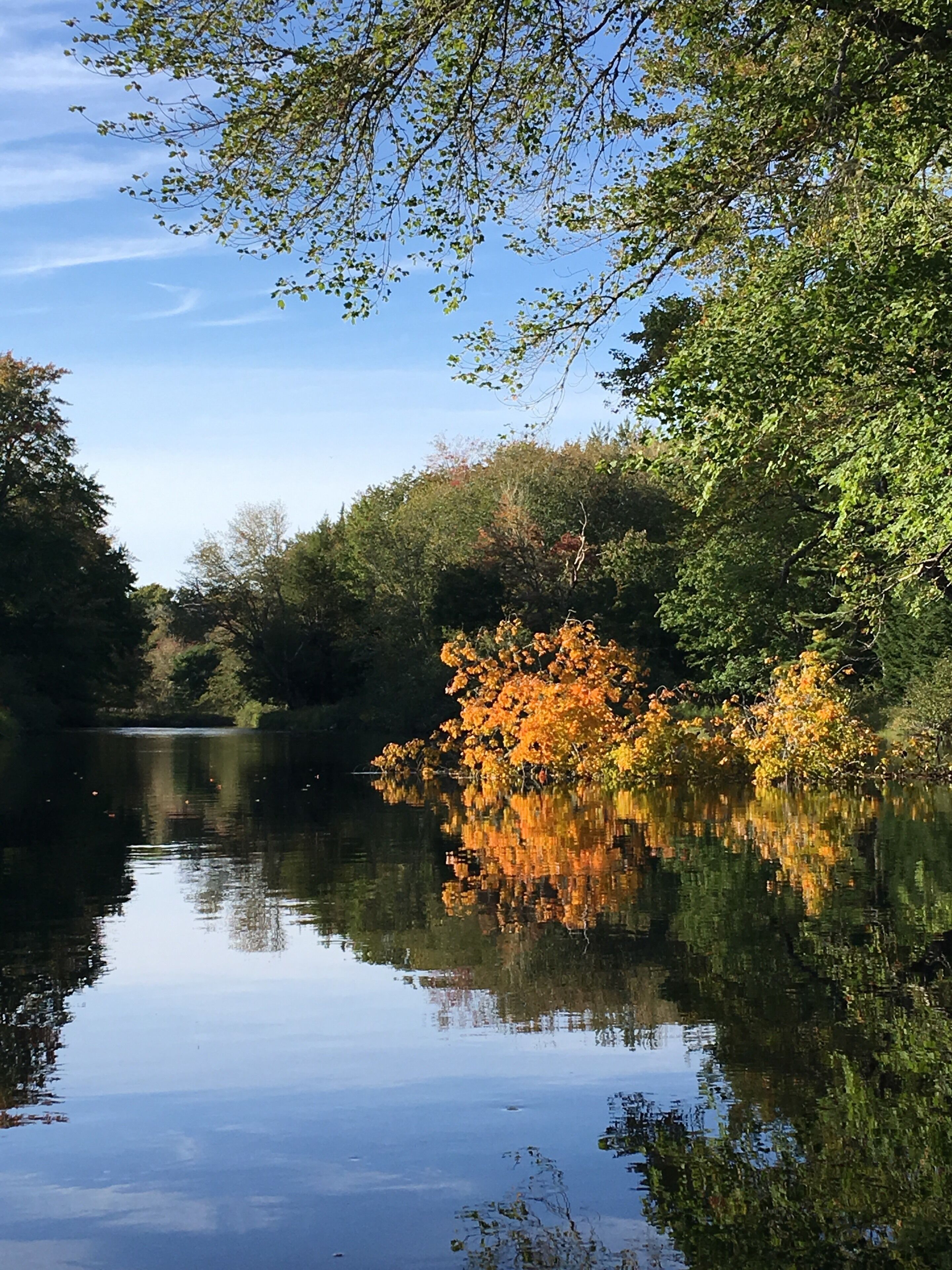 Hire a kayak or canoe from Whynot Adventurers and spend time paddling up the river and on the lake to stunning views