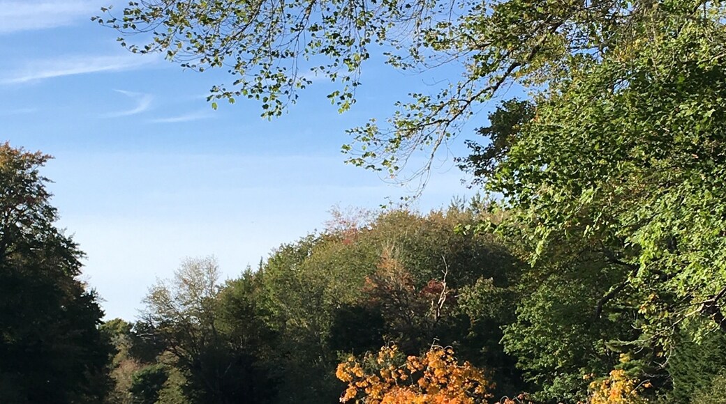 Hire a kayak or canoe from Whynot Adventurers and spend time paddling up the river and on the lake to stunning views