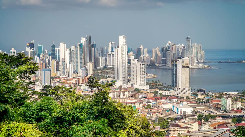 A cityscape with tall buildings, a body of water, and lush greenery in the foreground.