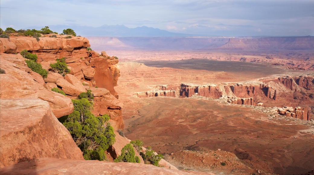 Canyonlands National Park which includes desert views, a gorge or canyon and tranquil scenes