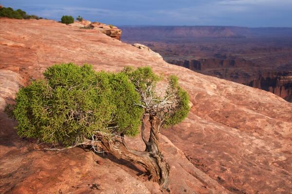 Grand View Point Trailhead