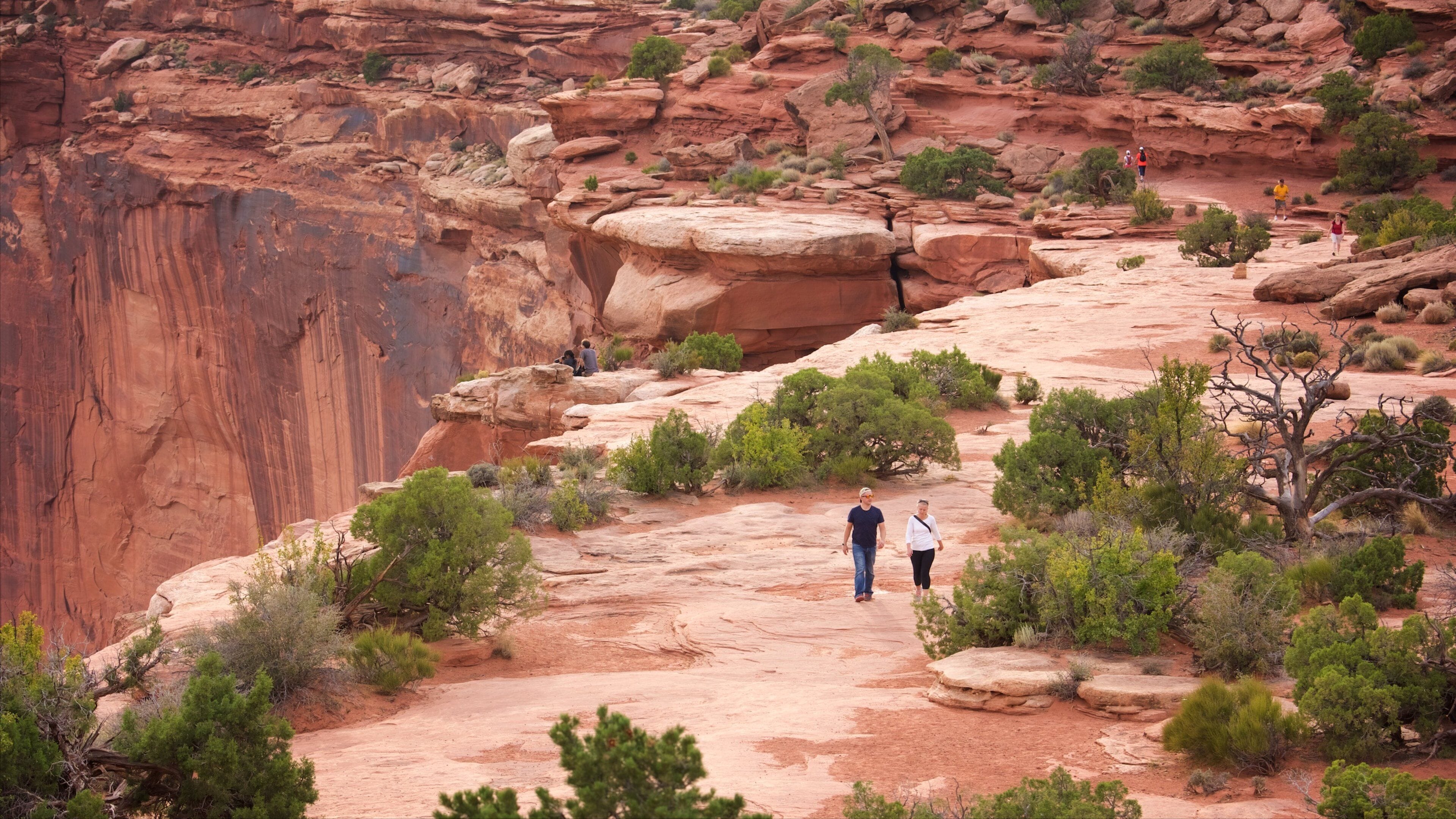 Grand View Point Trailhead