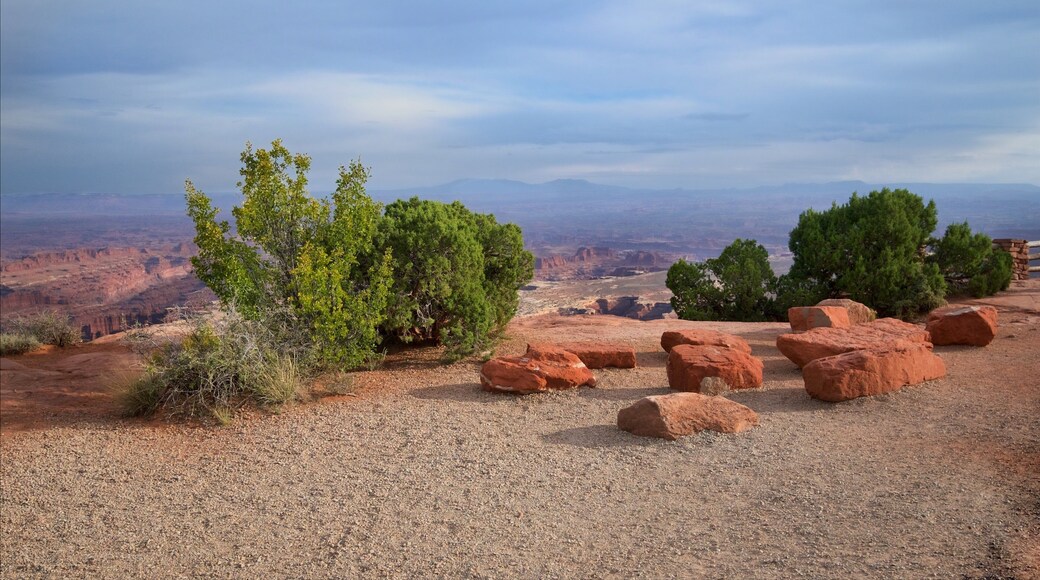 Canyonlands National Park showing tranquil scenes, a gorge or canyon and desert views