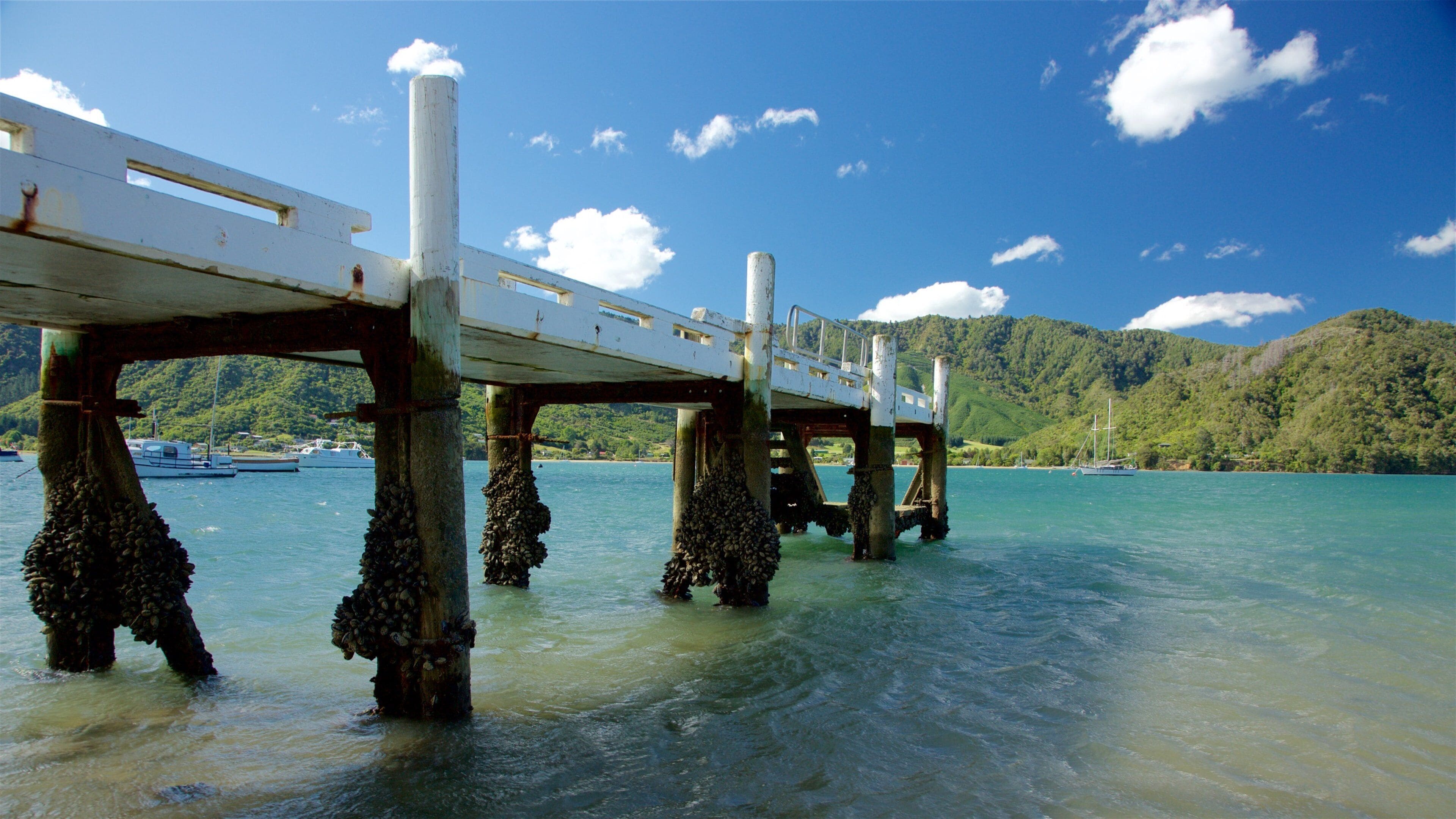 Picton showing forests, a bay or harbor and mountains