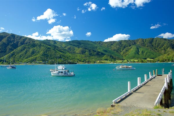 Picton showing mountains, a bay or harbour and boating