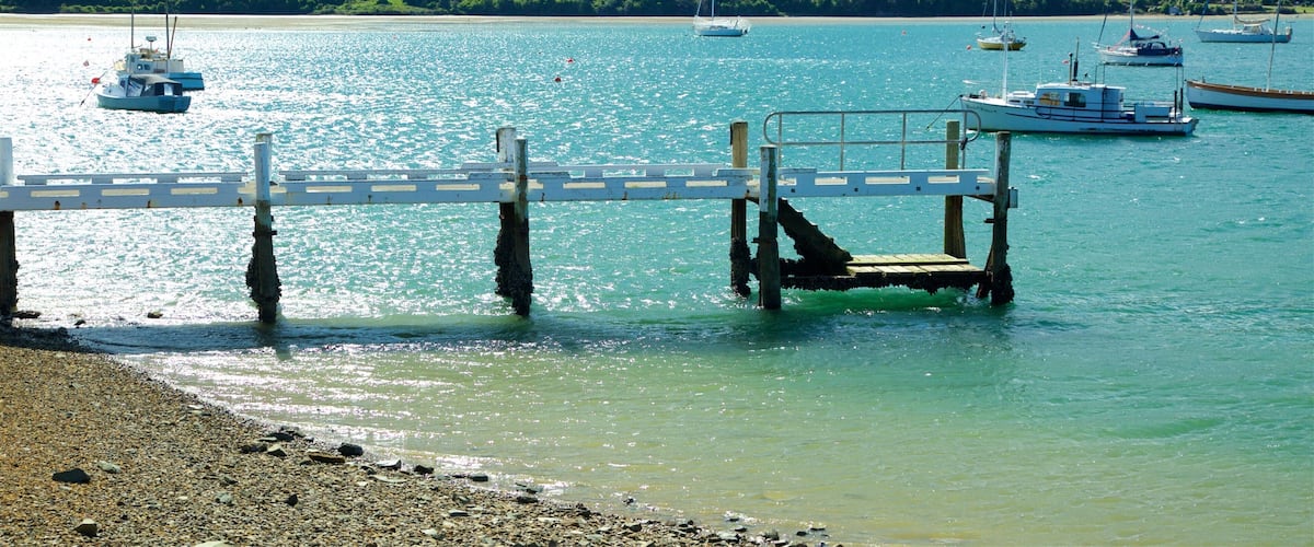 Picton que incluye navegación, bosques y paseos en lancha