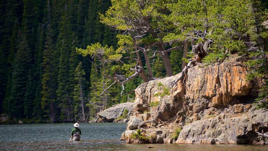 Estes Park showing a lake or waterhole as well as an individual male