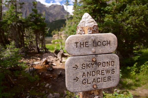 A wooden signpost with directions to 'The Loch', 'Sky Pond', and 'Andrews Glacier'.