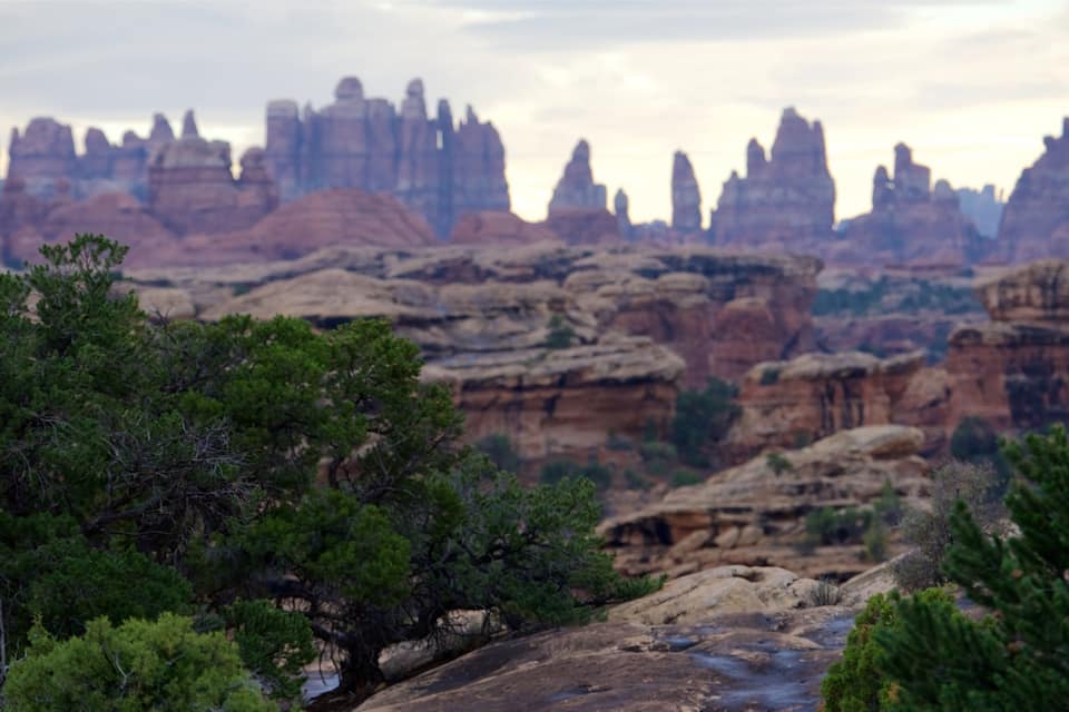 Un paysage de canyon caractérisé par d’imposantes formations rocheuses et une végétation luxuriante.