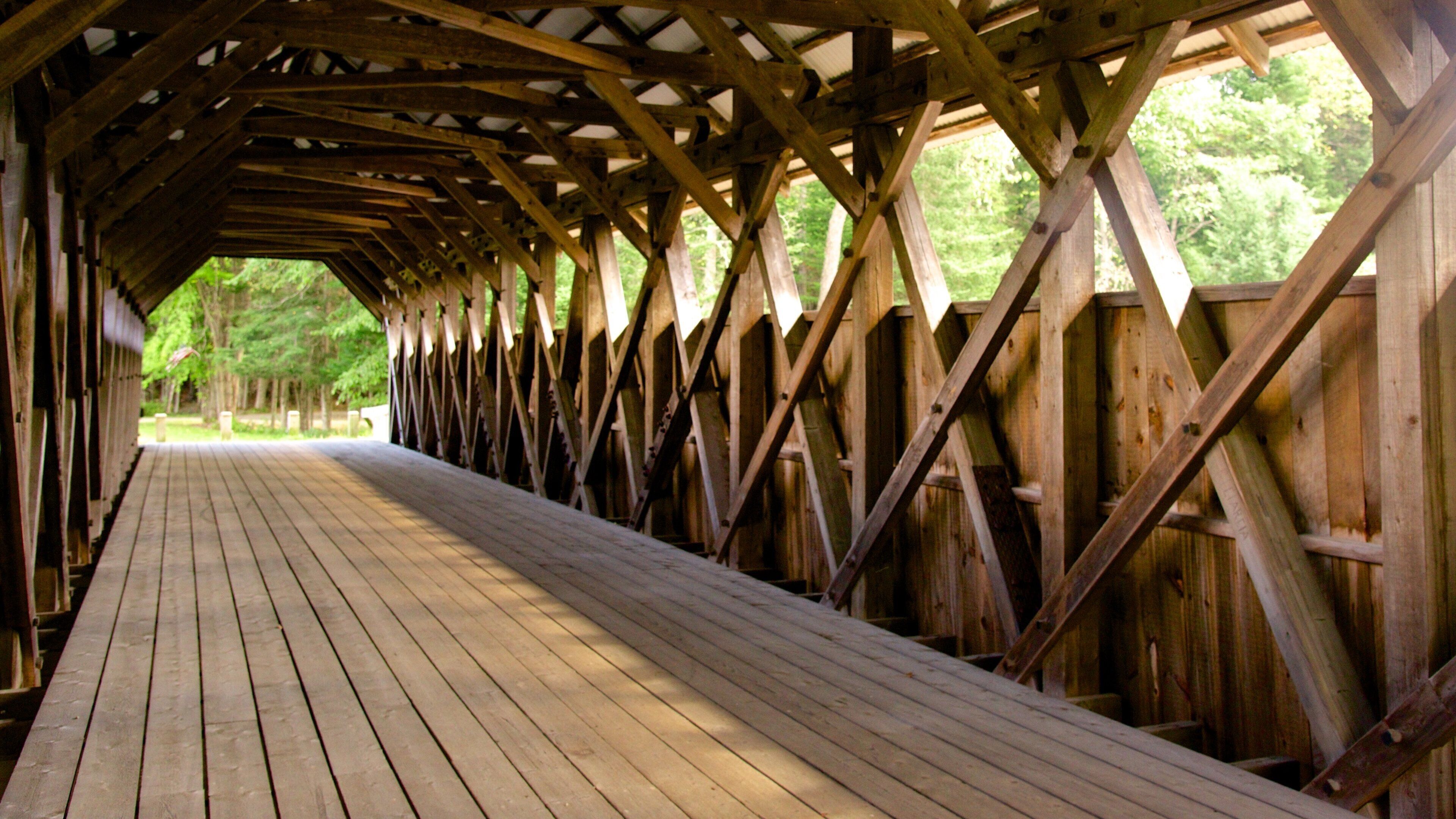 A covered wooden walkway with a wooden floor and a metal roof structure.