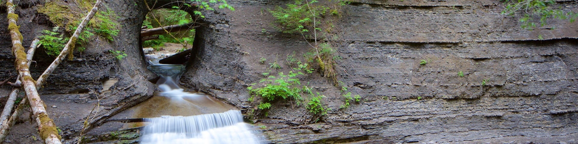 Port Alberni featuring a river or creek, forests and a waterfall