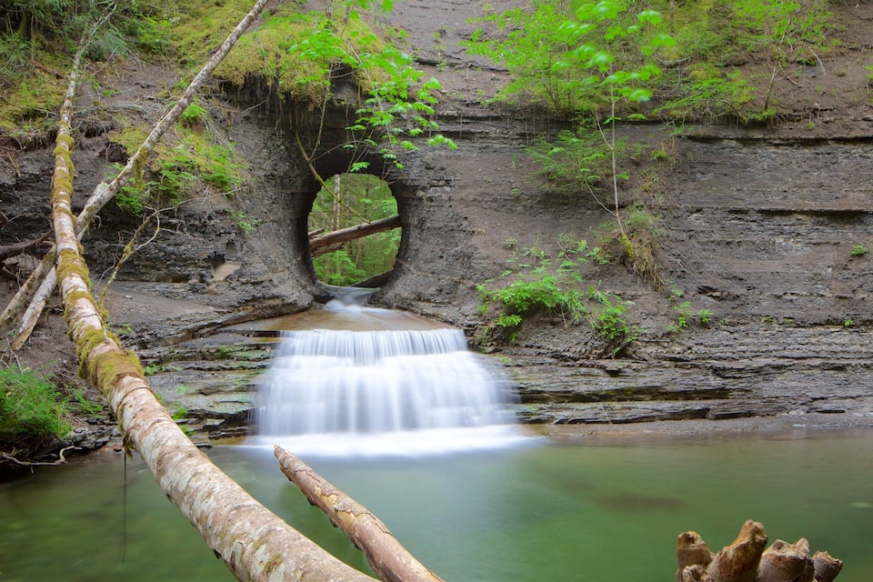 A waterfall cascading over a rocky cliff into a calm pool, surrounded by lush greenery and a fallen tree trunk.