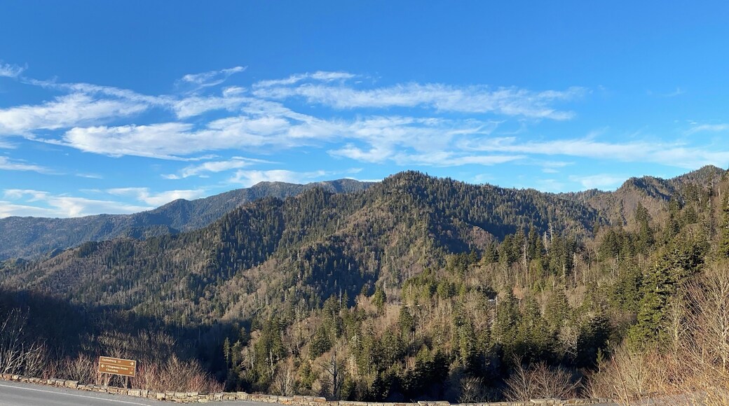 Elevation of 5100 ft. This is at the border of Tennessee and North Carolina in the Smoky Mountains. #breathTaking #LifeAtExpedia
