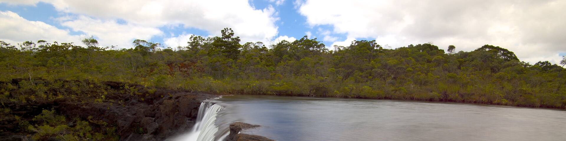 Una cascada que se precipita sobre rocas oscuras hacia un río tranquilo, rodeada de un bosque denso y un cielo nublado.