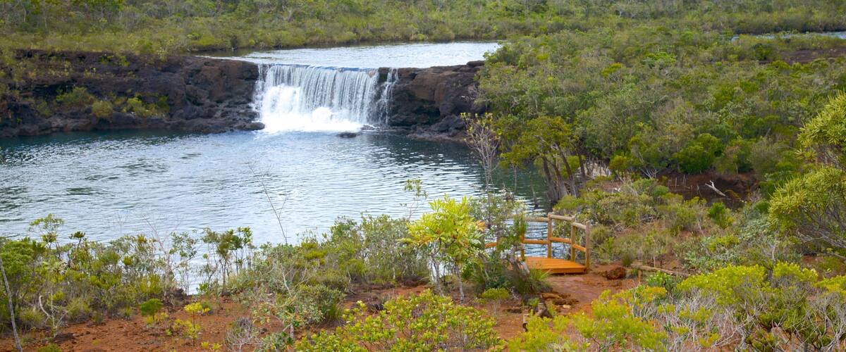 A waterfall in a lush, green forest with a small wooden structure nearby.